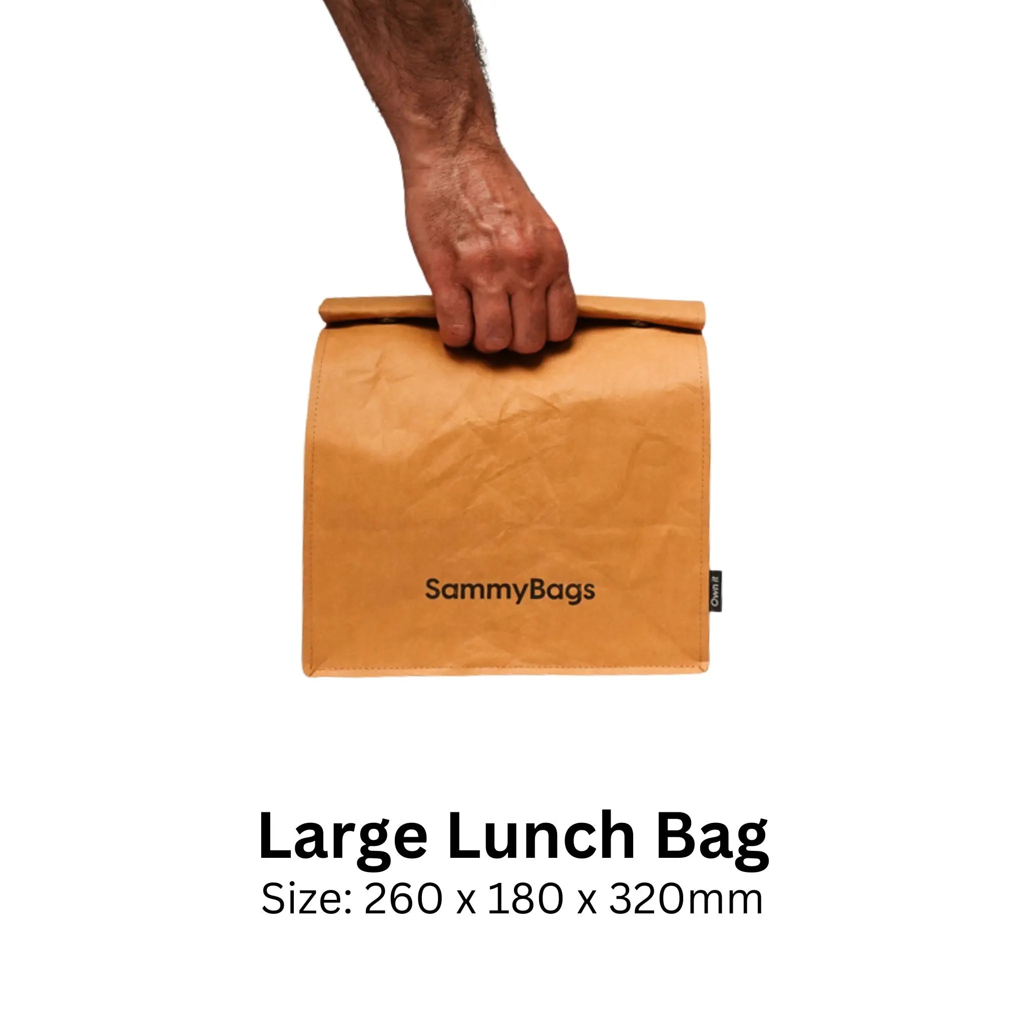 Large paper lunch bags 2025