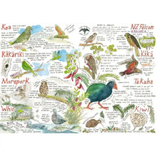 This 2024 Birding Calendar is the unofficial field guide to New Zealand birds. Seen here are illustrations of Takahē, Kākāriki, Kea, Morepork, Whio, Kiwi, Kākā and many more Aotearoa NZ birds.