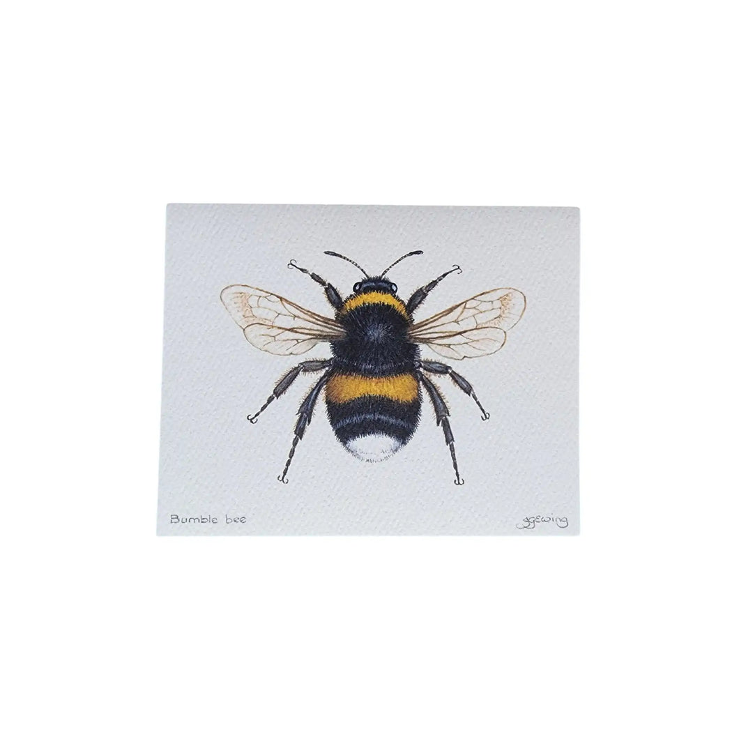 Bumble bee greeting card from original watercolour painting by Christchurch artist Jo Ewing.