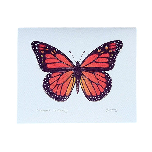 Monarch Butterfly greeting card from original watercolour painting by Christchurch artist Jo Ewing.