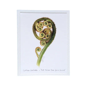 Cyathea dealbata NZ Silver tree fern frond greeting card from original watercolour painting by Ōtautahi Christchurch botanical artist Jo Ewing.