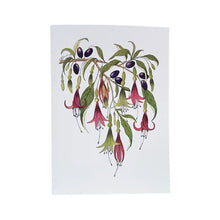 New Zealand Tree Fuchsia Excorticata or Kotukutuku greeting card from original watercolour painting by Christchurch artist Jo Ewing.