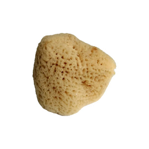 Natural, organic sustainable sea sponge for your face.