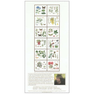 Perpetual New Zealand birthday calendar by botanical artist Jo Ewing. Image is of the back which has a sample of the illustrations for each month and a blurb about the artist along with her photo underneath. Images include flowers, leaves, moths and butterflies.