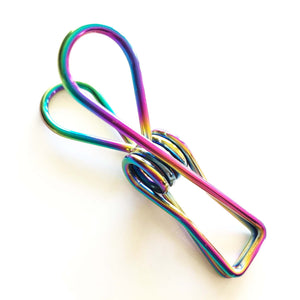 Close up of stylish Stainless Steel Clothes Peg in rainbow colour.