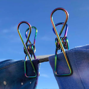 2 Rainbow stainless steel clothes pegs on clothes line.