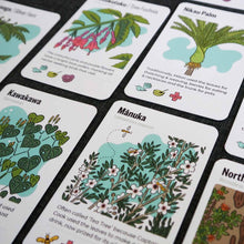Close up of the beautifully illustrated Tree Snap cards featuring native trees like Mānuka, Kawakawa and Nikau Palm.